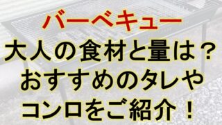 バーべキュー大人4人分の食材と量は？おすすめのタレやコンロをご紹介！