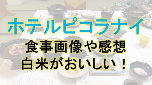 ホテルピコラナイえびの高原の食事画像や感想！白米がおいしい！